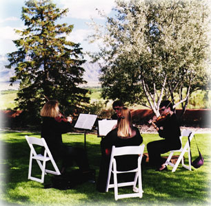 Wedding Photo